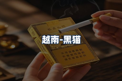 越南黑猫